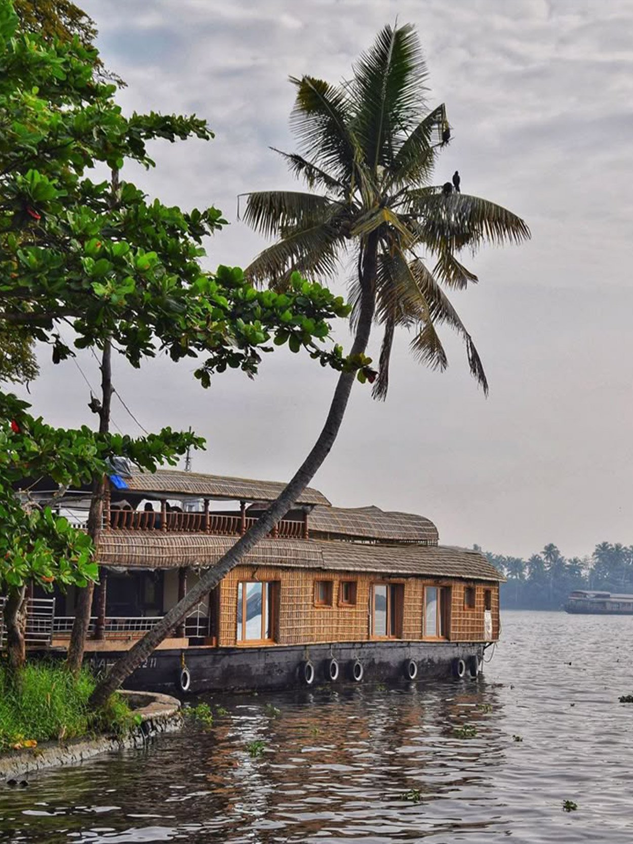 Munnar & Alleppey