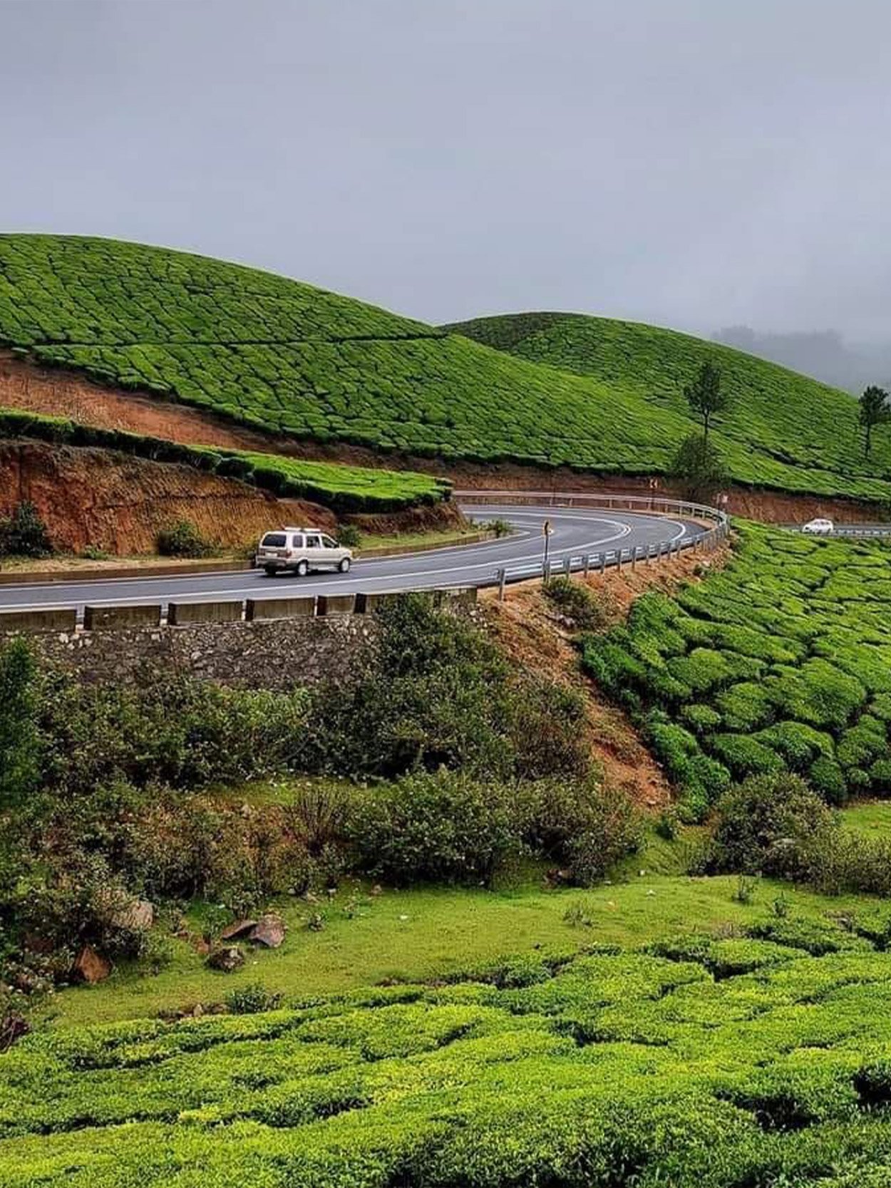 Vagamon & Thekkady